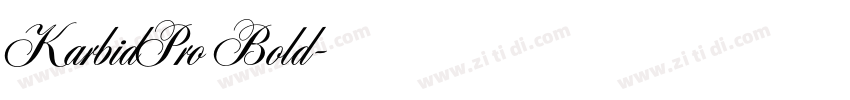 KarbidPro Bold字体转换